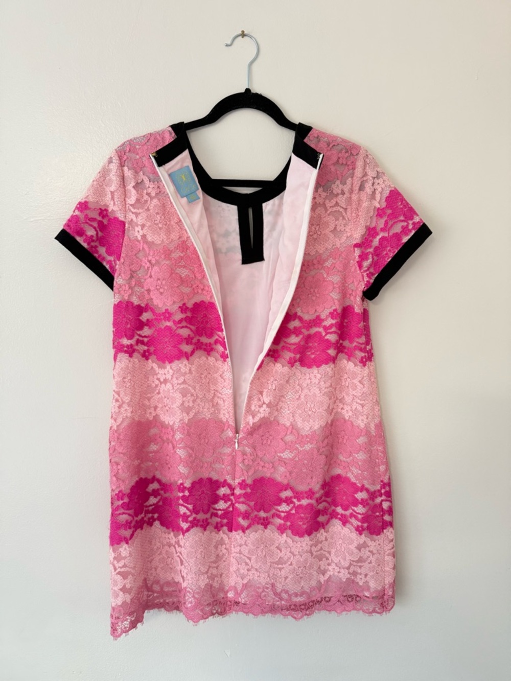 Cece Brandy Pink Lace Shift Dress Womens  Size 12P Twee Coquette Mini Dress Y2K - Picture 10 of 11